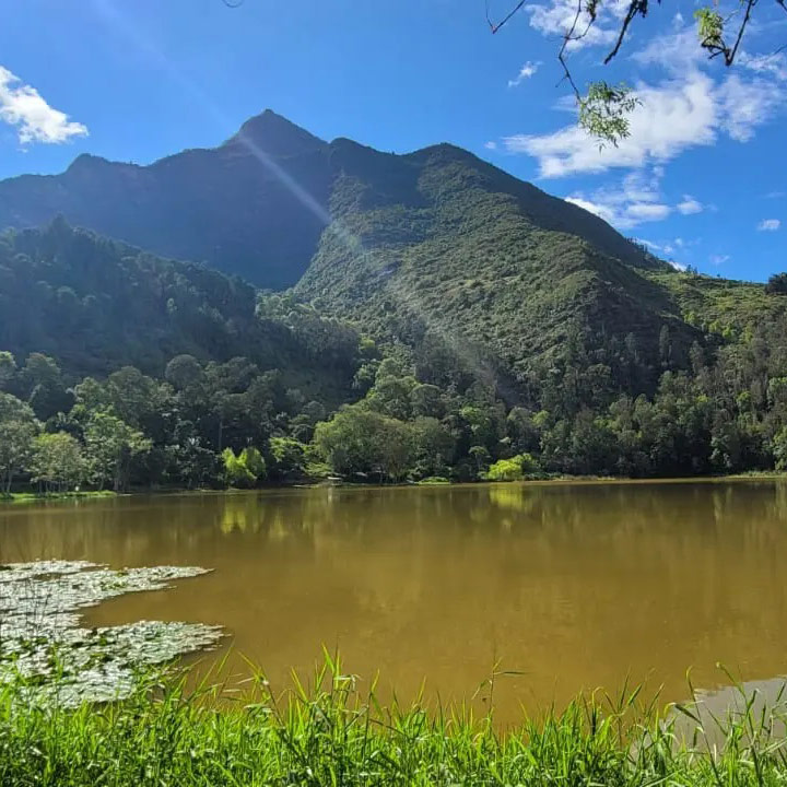 delta-del-tigre-argentina-2-c