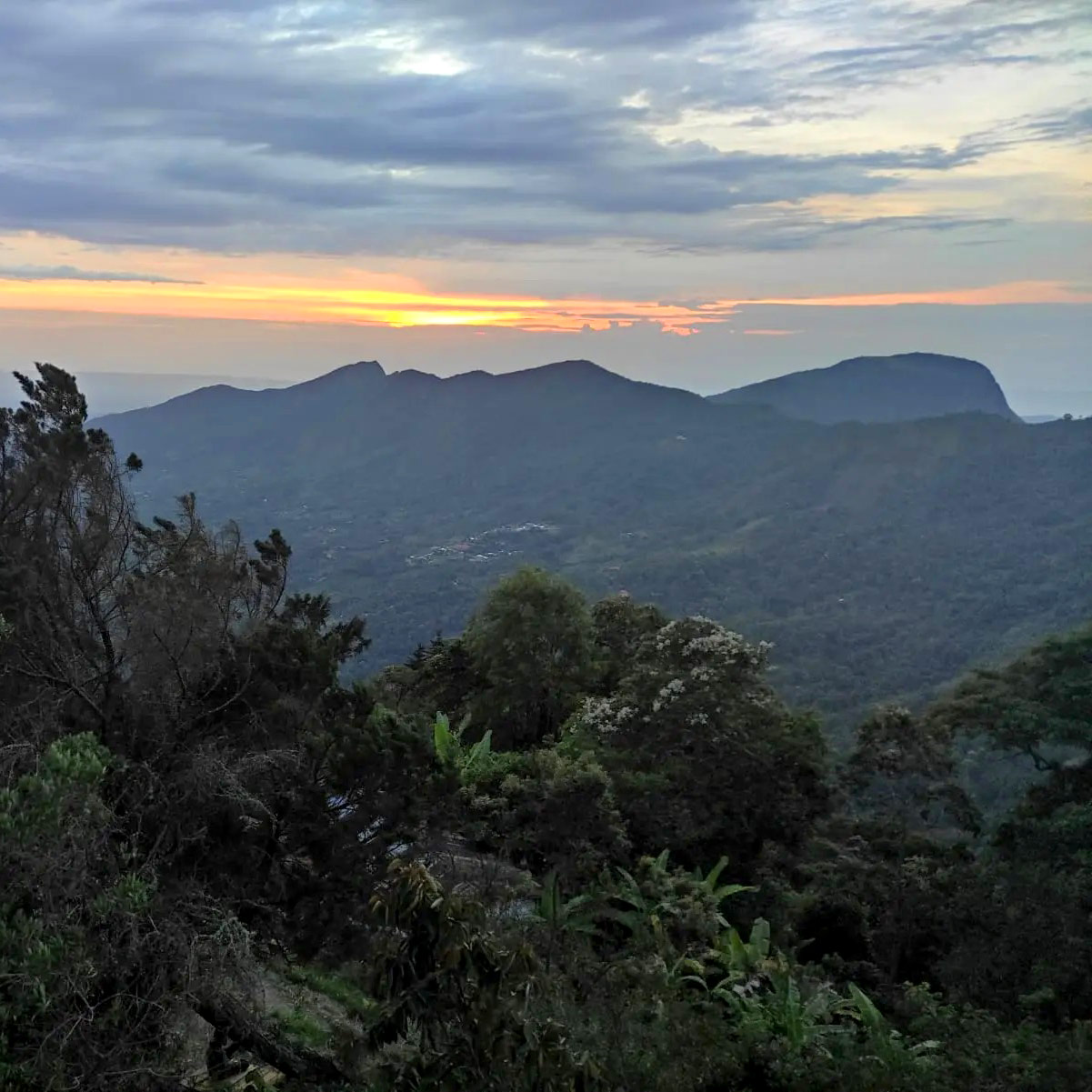 quinini-cundinamarca
