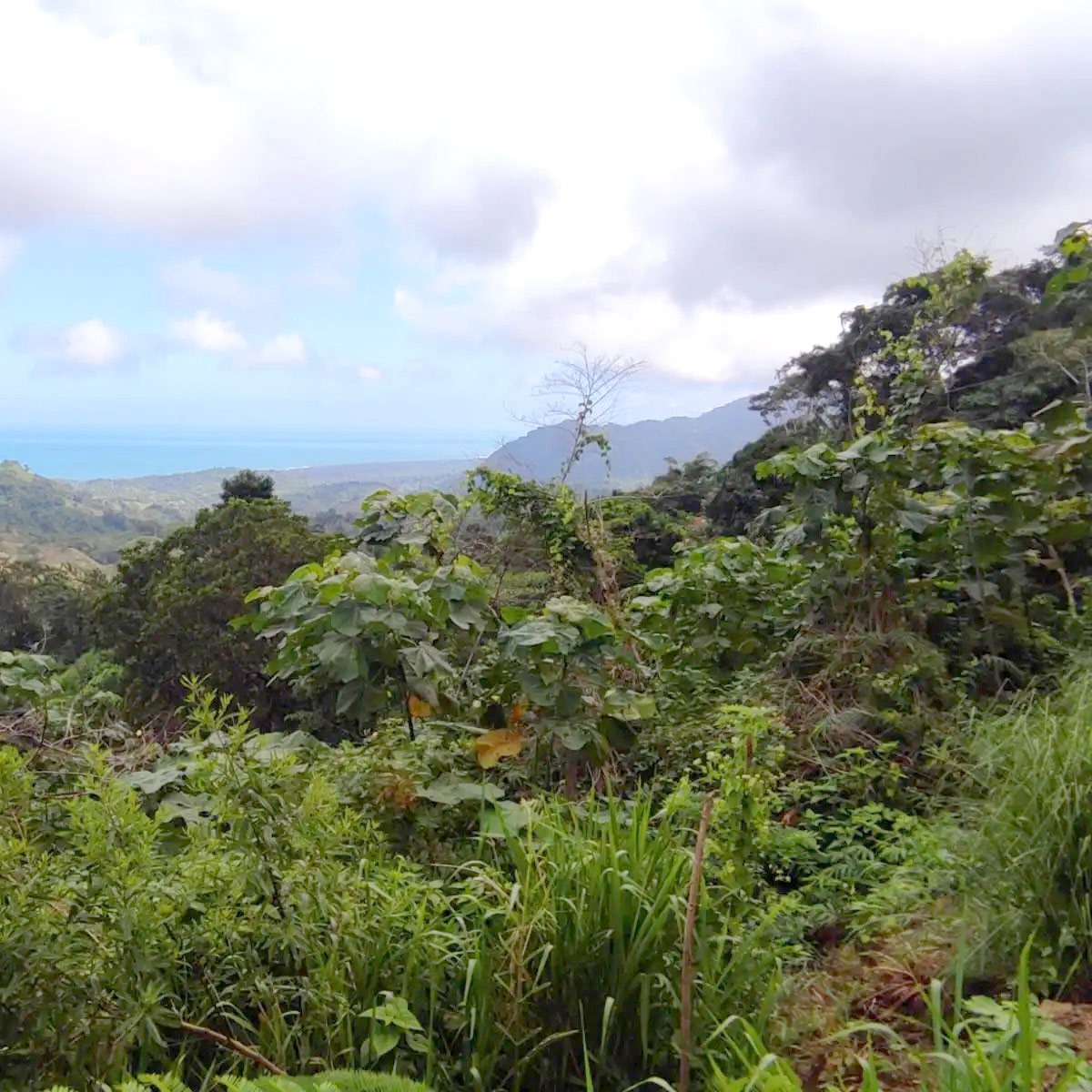 san-agustin-huila
