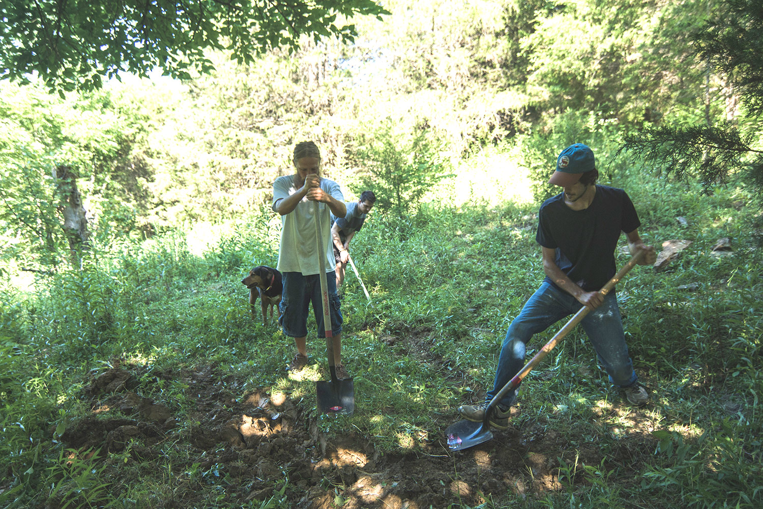 cultivadores