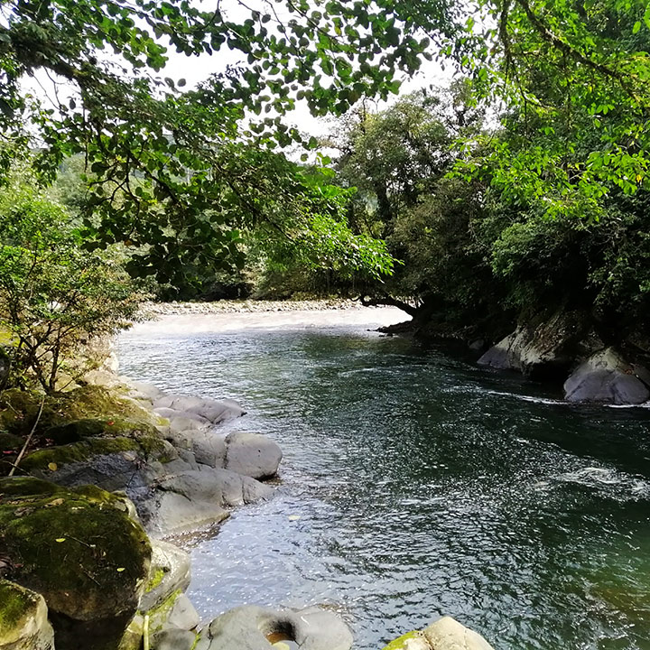 rio